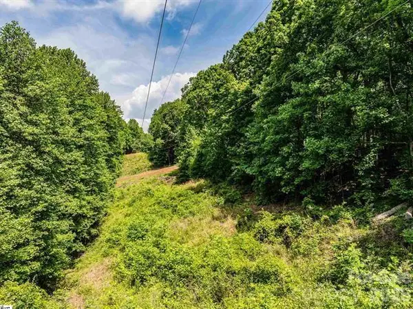 67 & 68 Wildflower Lane, Travelers Rest, SC 29690