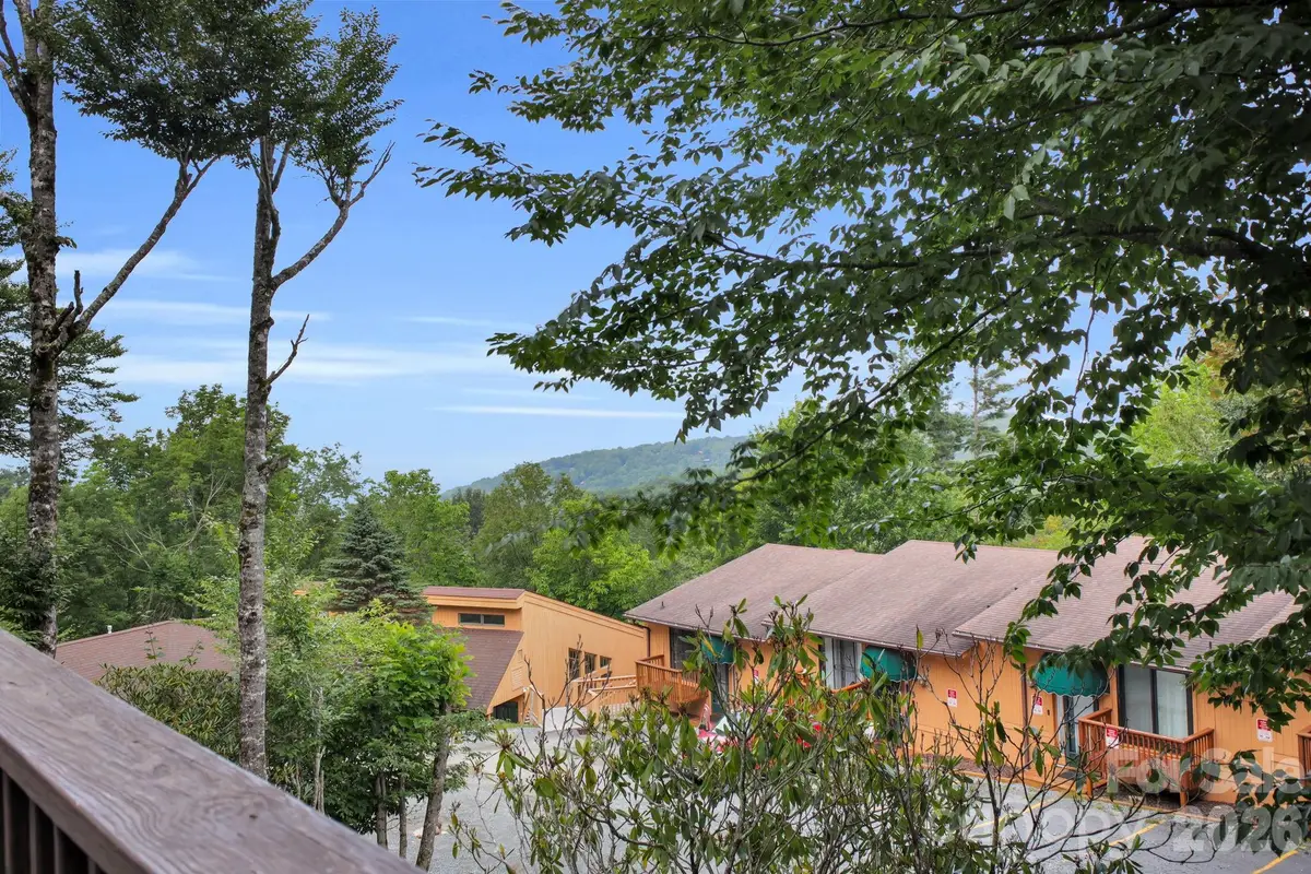 119 Beechwood Lane, Beech Mountain, NC 28604 - #1
