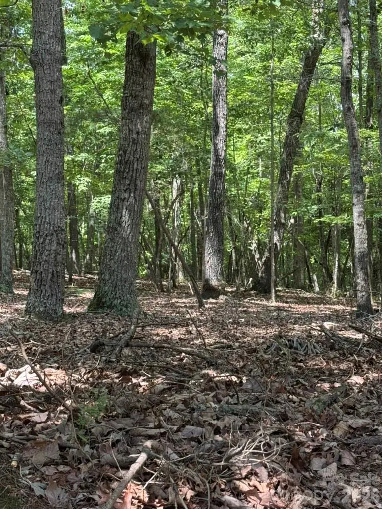 0 Cottonstone Lane, Troy, NC 27371 - #2