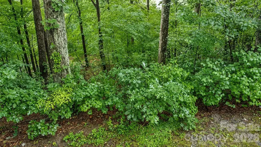 #46 Hemlock Trail, Columbus, NC 28722 - #2