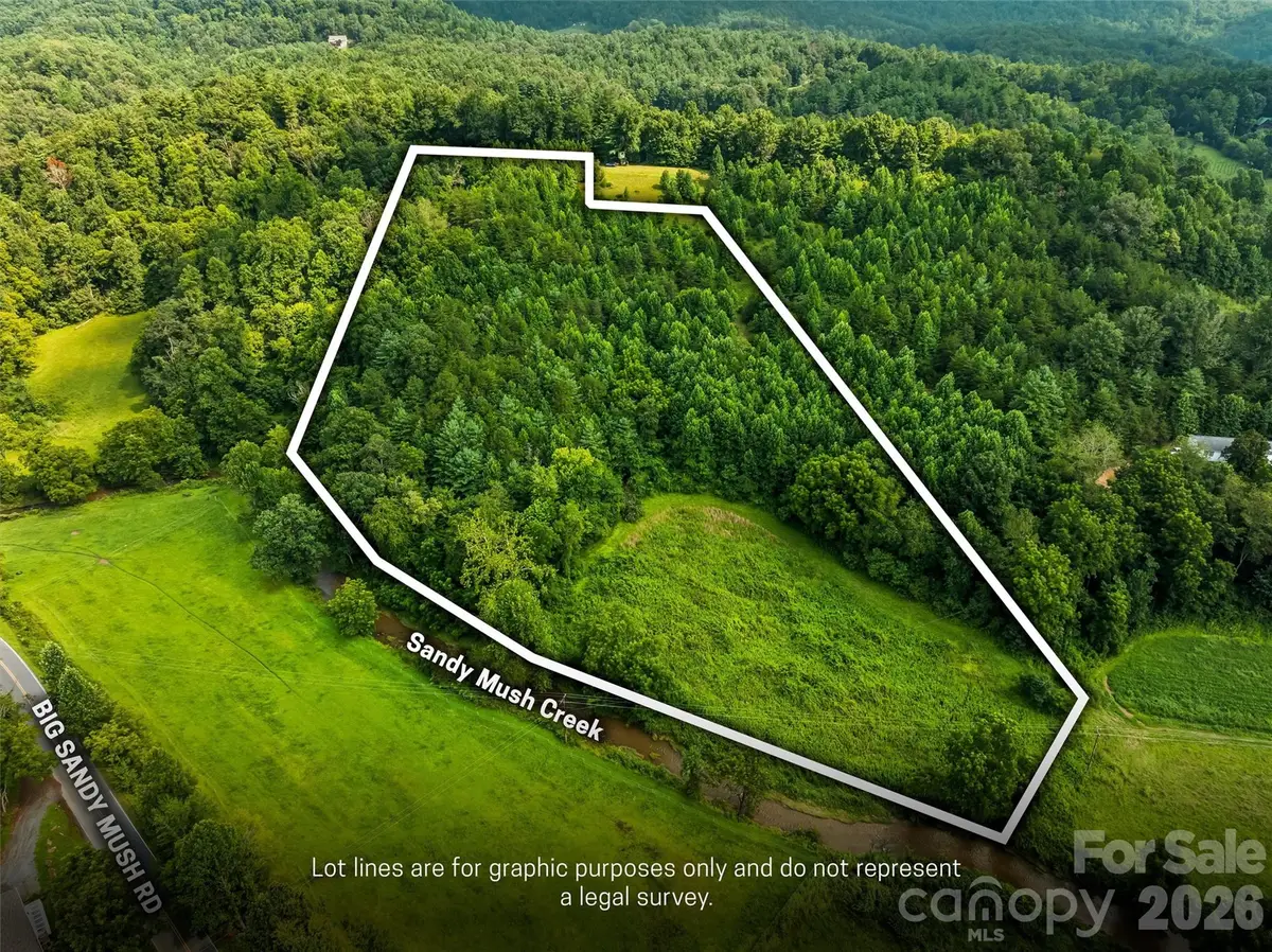 99999 Big Sandy Mush Road, Leicester, NC 28748 - #1