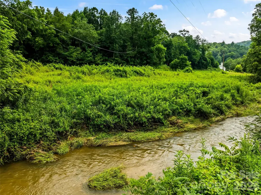 99999 Big Sandy Mush Road, Leicester, NC 28748 - #3