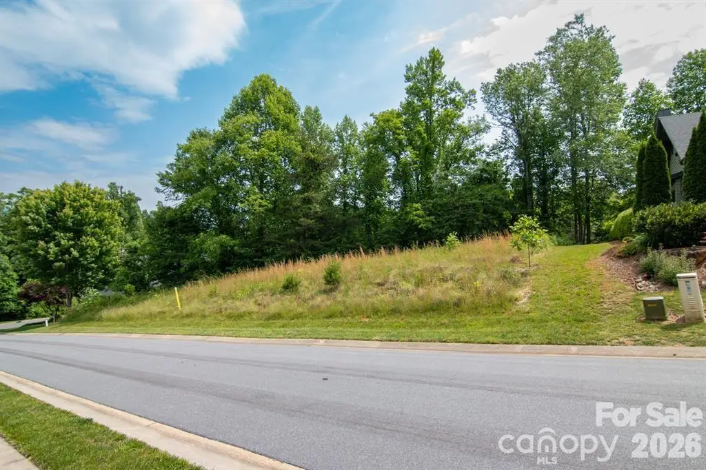 35 Cottage Settings Lane, Black Mountain, NC 28711 - #1