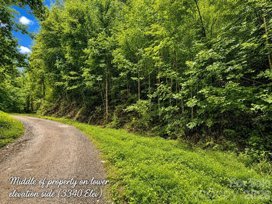 1000 Yonah Trail #7, Waynesville, NC 28785 - #2