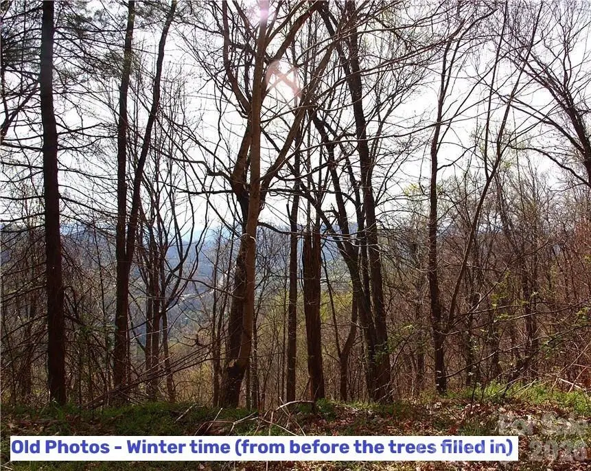 1000 Yonah Trail #7, Waynesville, NC 28785 - #3