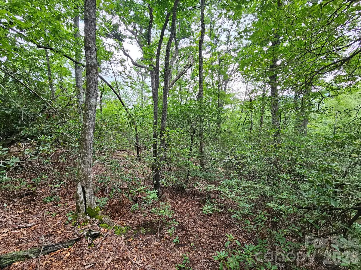 98 Down To Earth Drive #98, Burnsville, NC 28714 - #1
