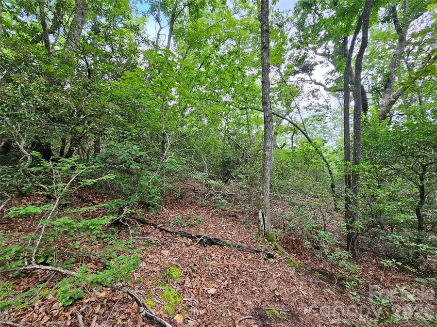 98 Down To Earth Drive #98, Burnsville, NC 28714 - #2
