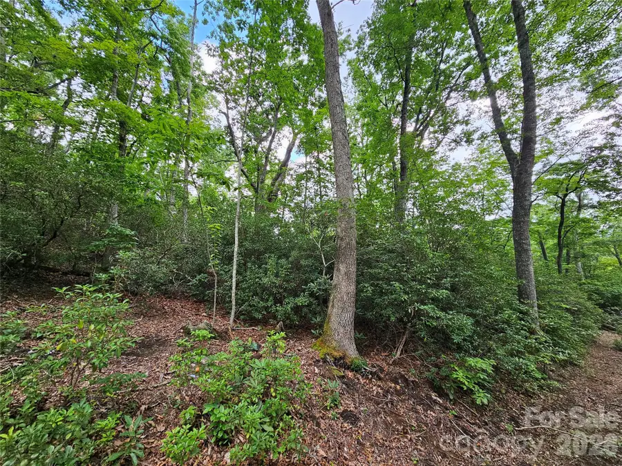 98 Down To Earth Drive #98, Burnsville, NC 28714 - #3