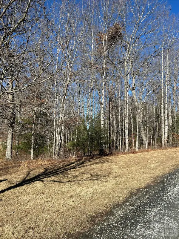 TBD Bear Den Road #23, Sparta, NC 28675
