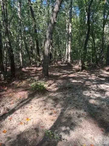 TBD Bud Arndt Road, Maiden, NC 28650