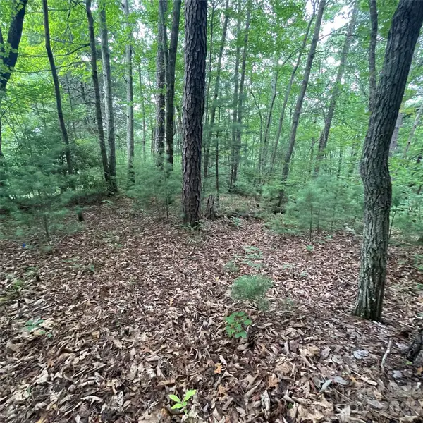 106 Red Mulberry Drive, Zirconia, NC 28790