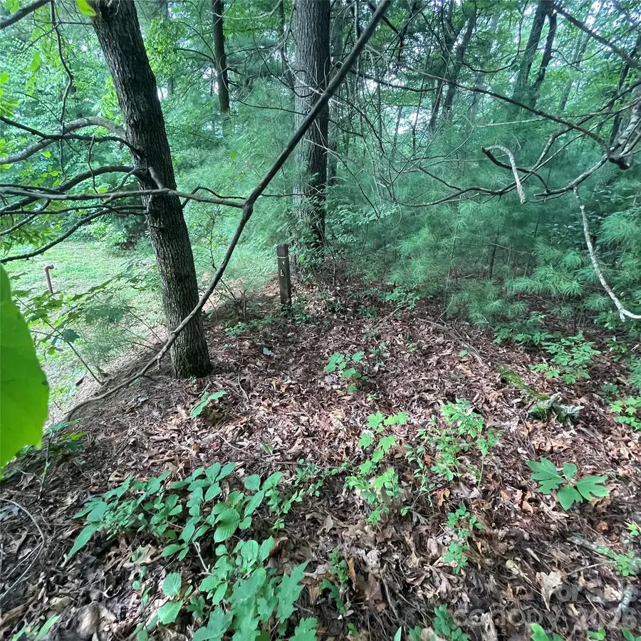 106 Red Mulberry Drive, Zirconia, NC 28790 - #3