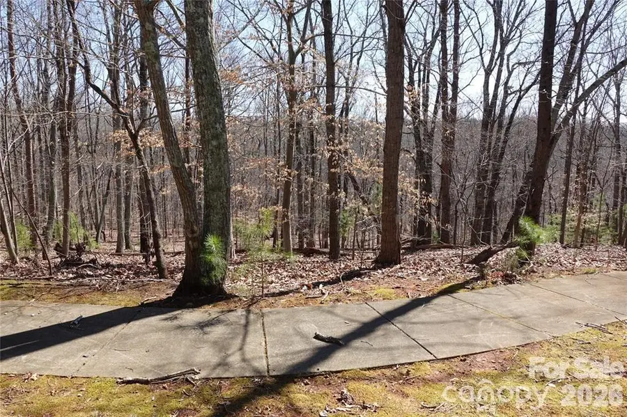 14427 Roe Buck Meadow Lane, Charlotte, NC 28278 - #2