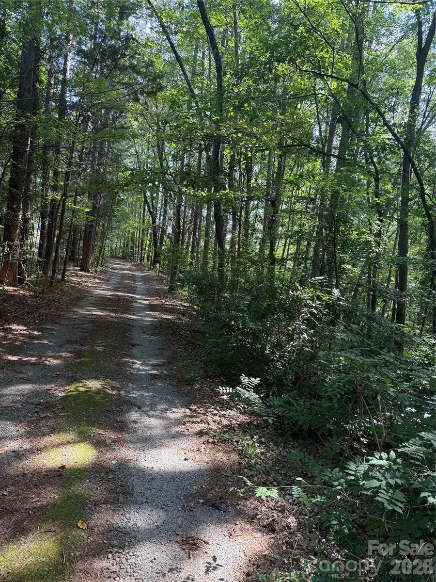 202 Horseshoe Lake Road, Mount Holly, NC 28120 - #3