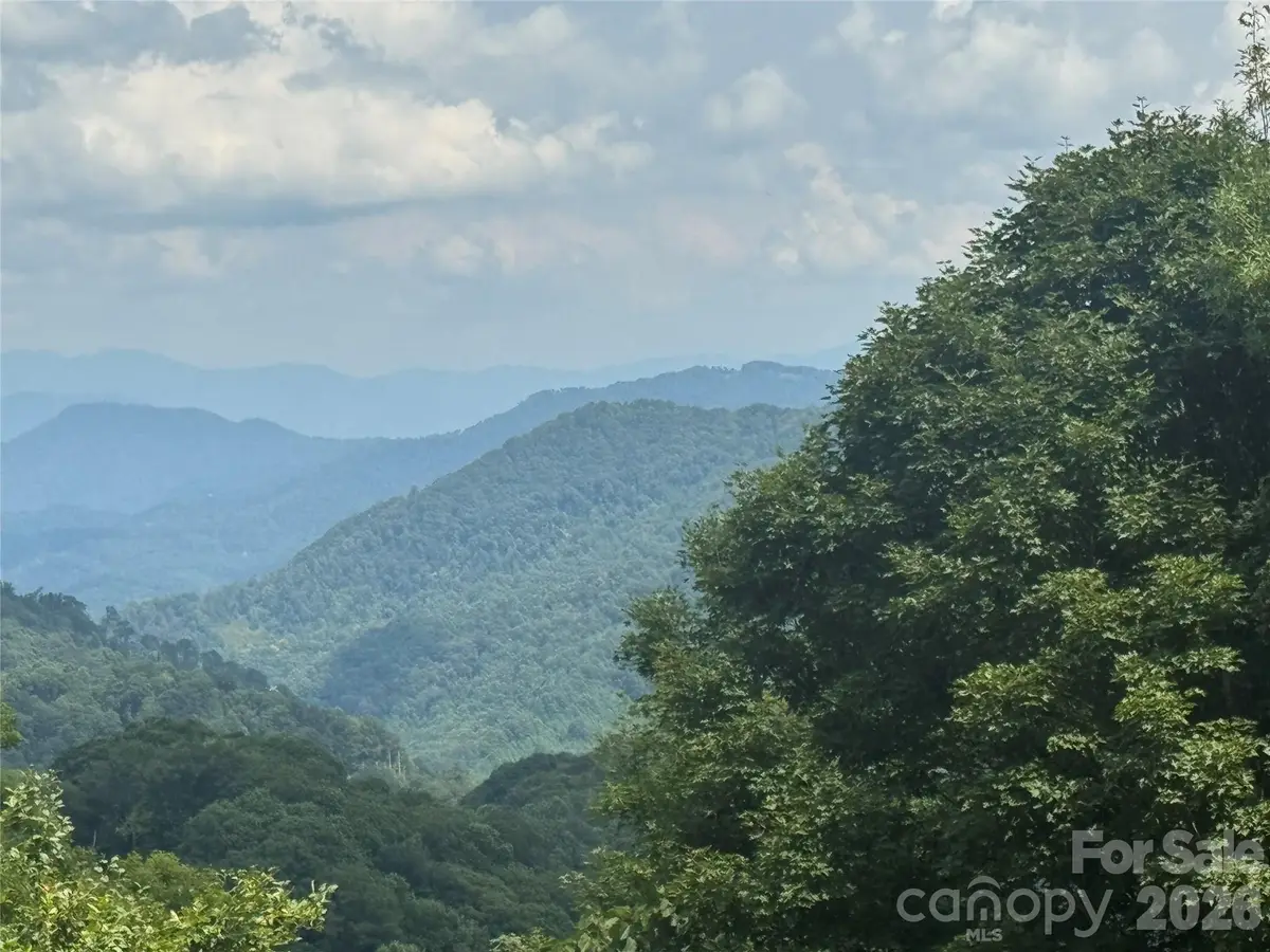 84 Goldenleaf Road, Mars Hill, NC 28754 - #1