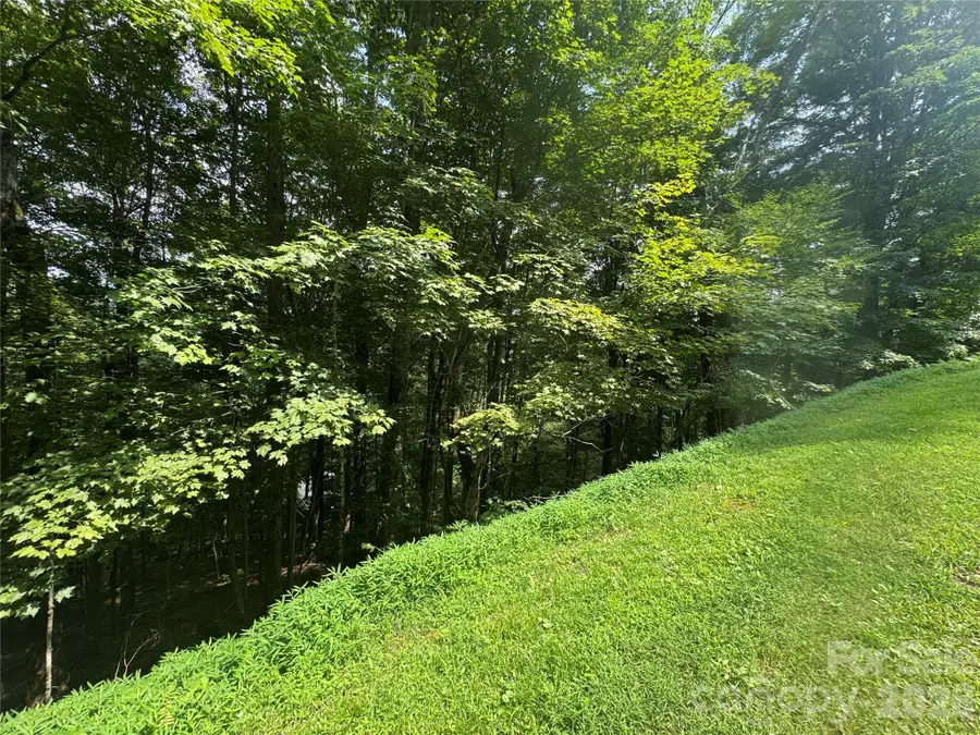 84 Goldenleaf Road, Mars Hill, NC 28754 - #3