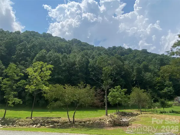00 Foster Creek Road, Marshall, NC 28753