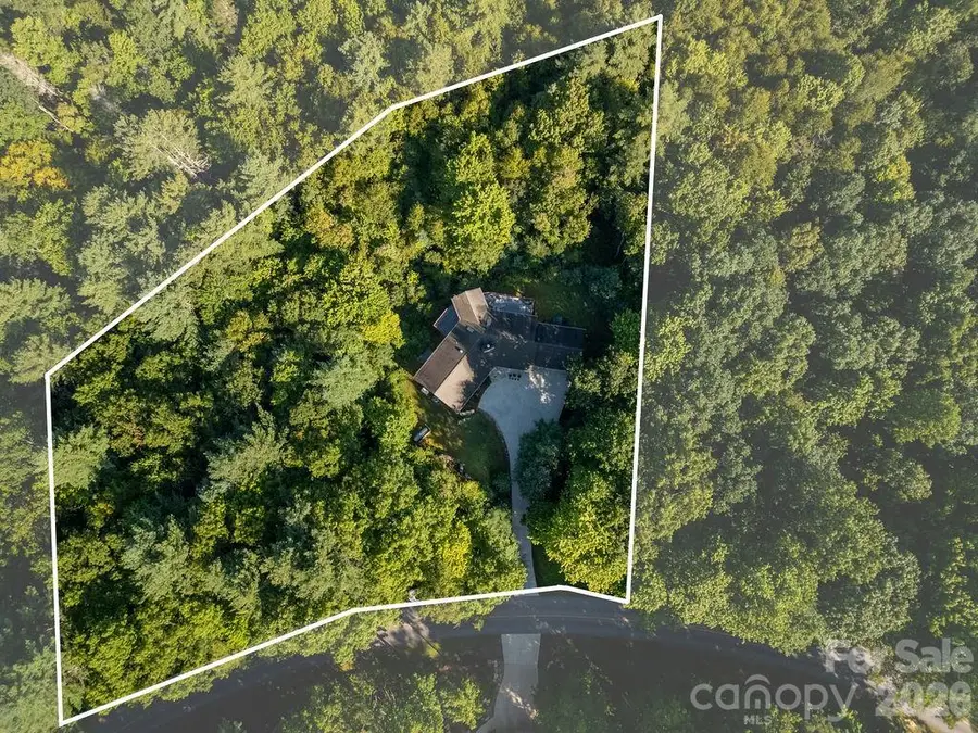 1228 Ugugu Drive, Brevard, NC 28712 - #3