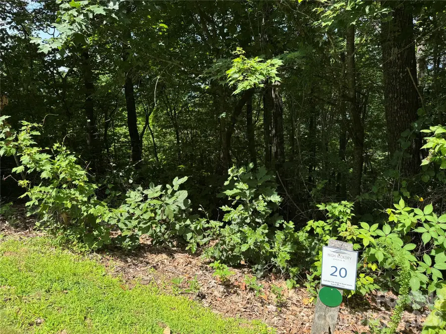 352 High Hickory Trail #20, Swannanoa, NC 28778 - #3
