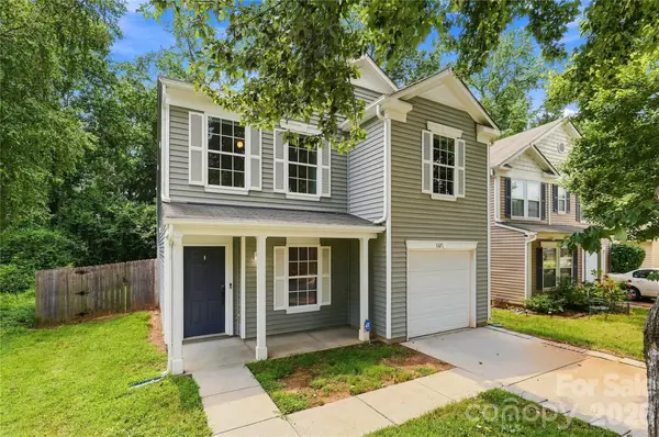 1132 New Day Court, Charlotte, NC 28215