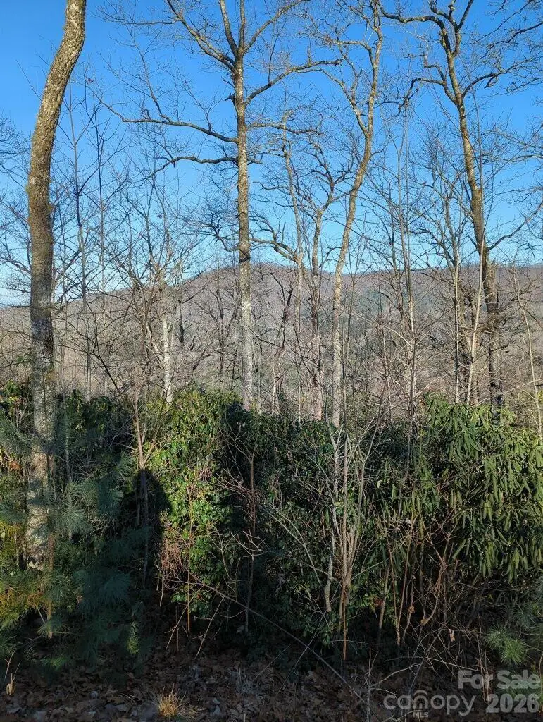 21 Hidden River None, Hayesville, NC 28904 - #1