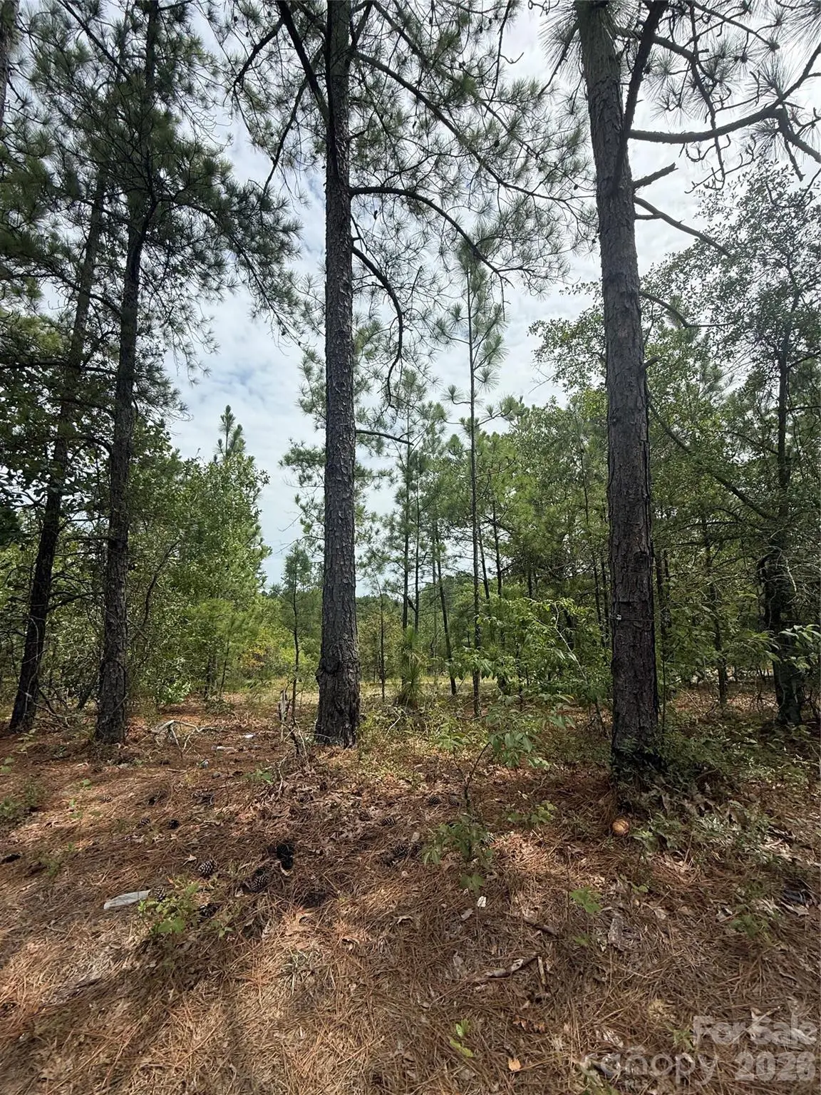 TBD Sheridan Oliver Road, Ruby, SC 29741 - #1