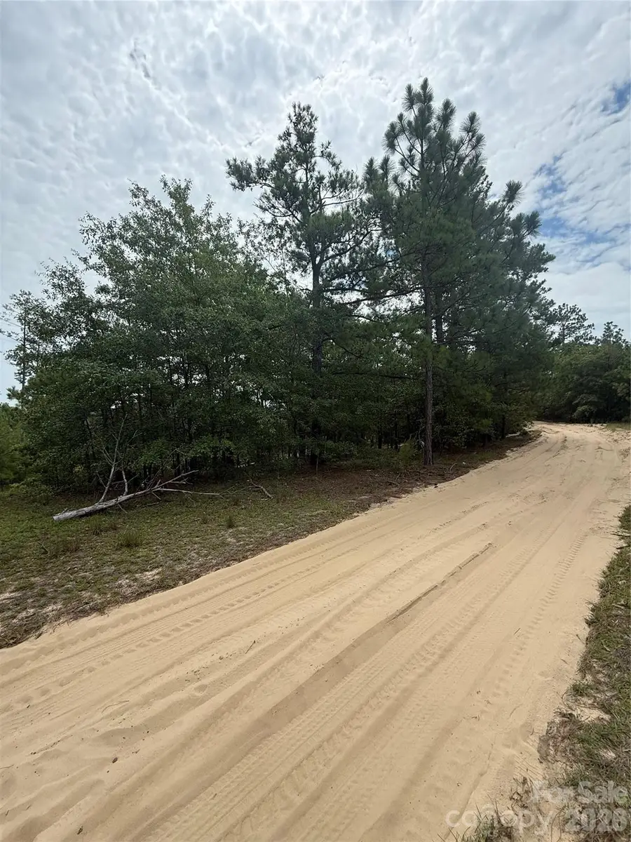 TBD Sheridan Oliver Road, Ruby, SC 29741 - #3