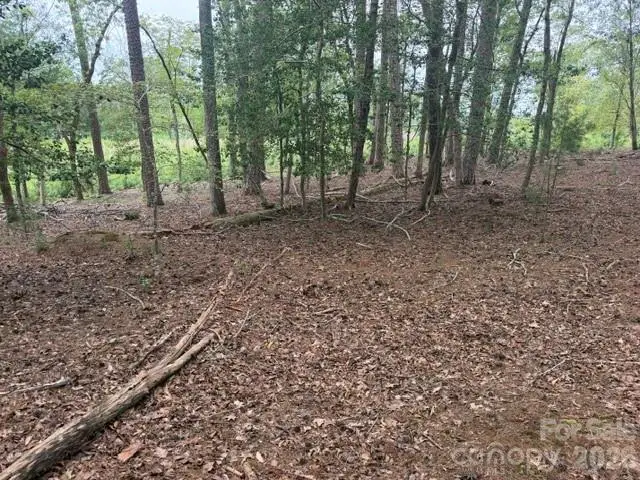 0 Eagle Point, Mount Gilead, NC 27306 - #3