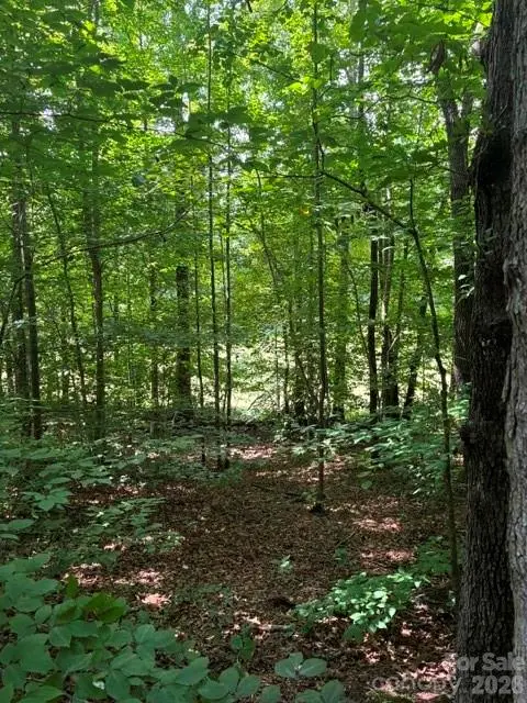 0 Moss Drive #71, Rutherfordton, NC 28139 - #2