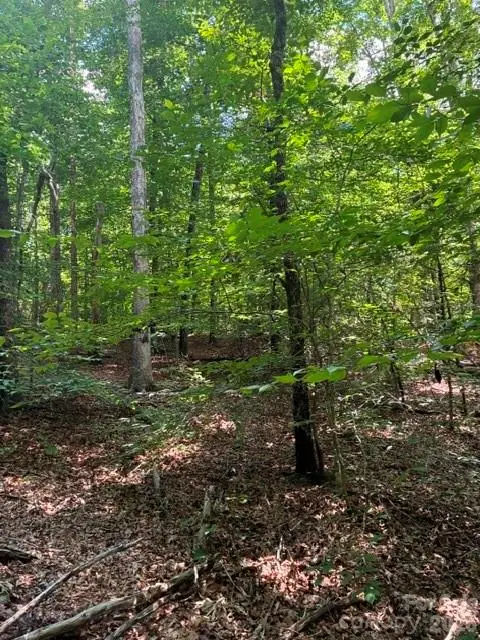 0 Moss Drive #71, Rutherfordton, NC 28139 - #3