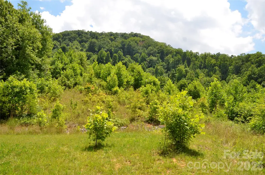 50 Gregory Hill Road, Fairview, NC 28730 - #2