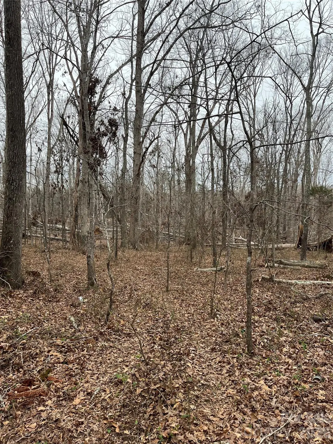 417 Davis Road, Shelby, NC 28152 - #1