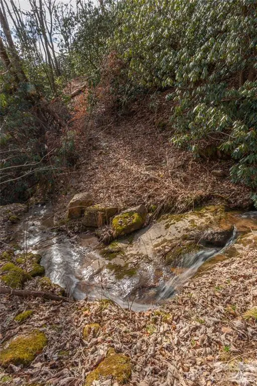 2220 Tract 1 Tilley Creek Road, Cullowhee, NC 28723 - #1