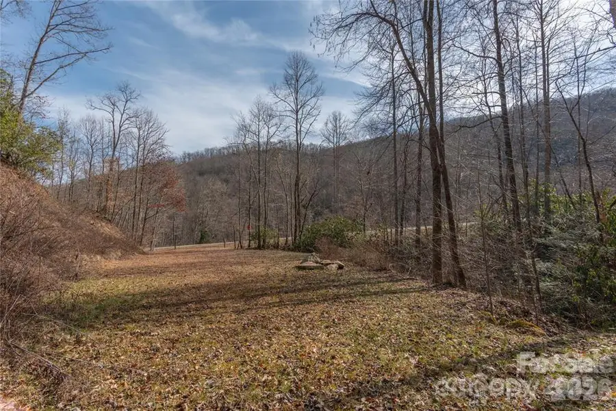 2220 Tract 1 Tilley Creek Road, Cullowhee, NC 28723 - #3