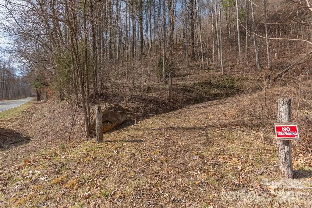 2220 Tract 2 Tilley Creek Road, Cullowhee, NC 28723 - #1