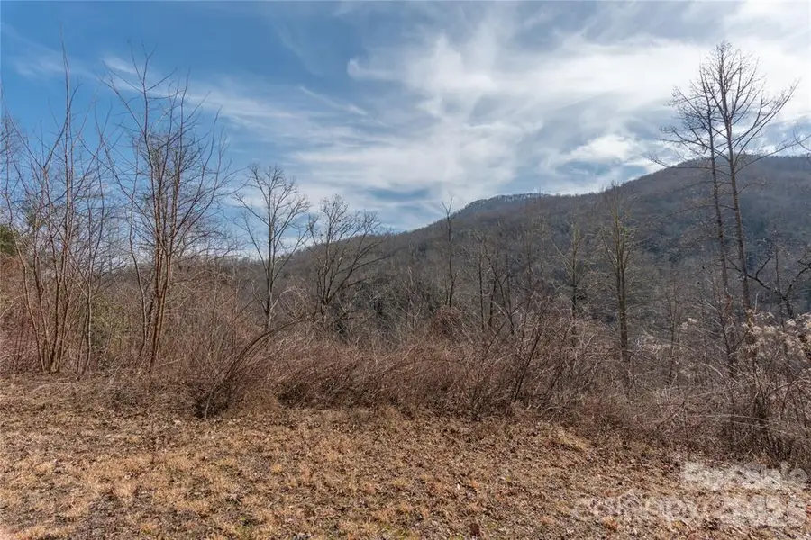 2220 Tract 2 Tilley Creek Road, Cullowhee, NC 28723 - #2