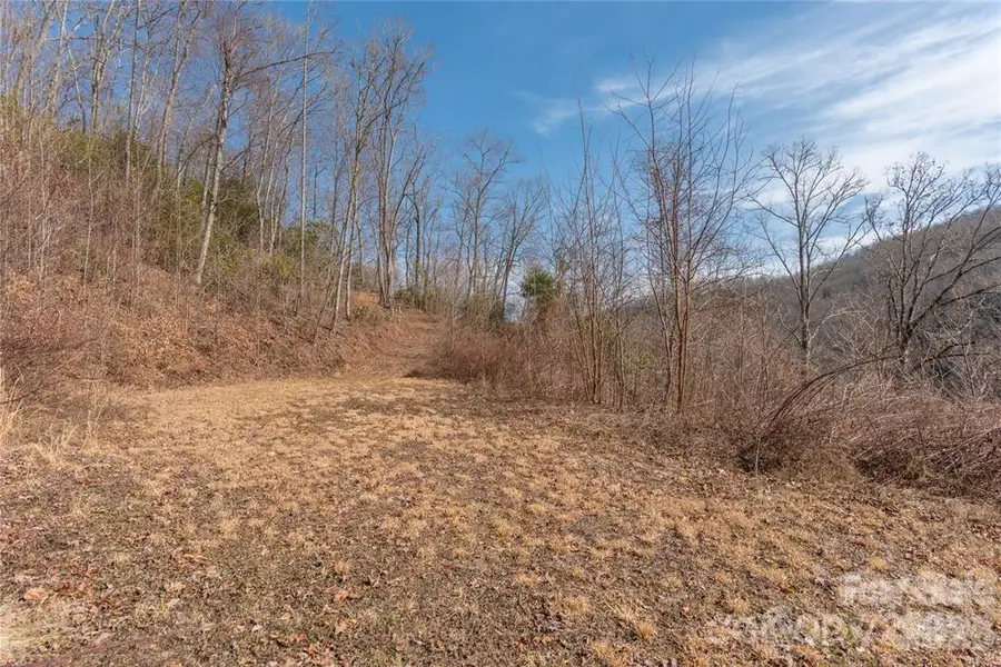 2220 Tract 2 Tilley Creek Road, Cullowhee, NC 28723 - #3
