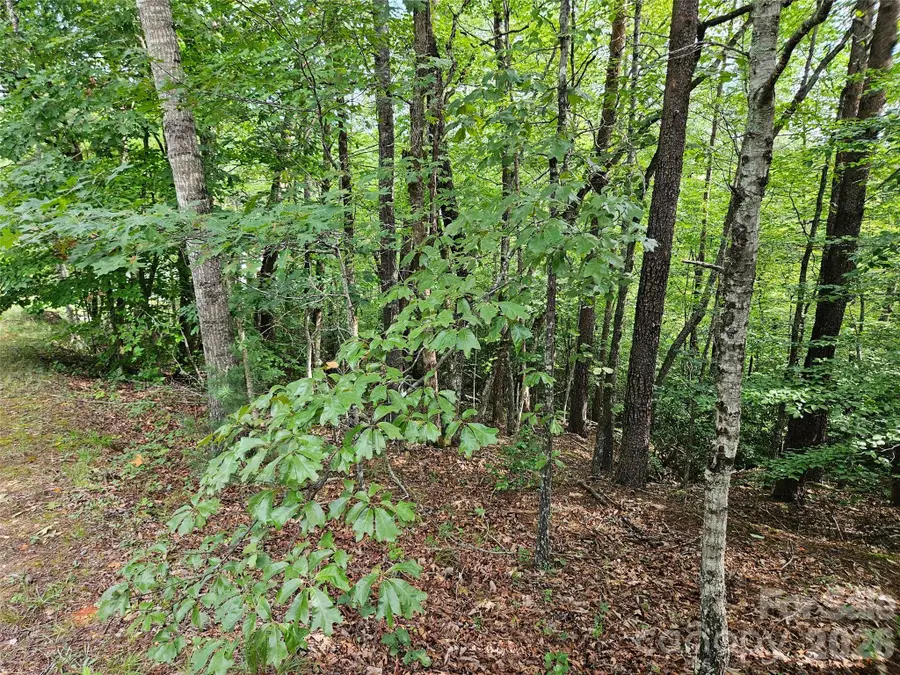 0 Hawks Terrace #313, Lake Lure, NC 28746 - #2
