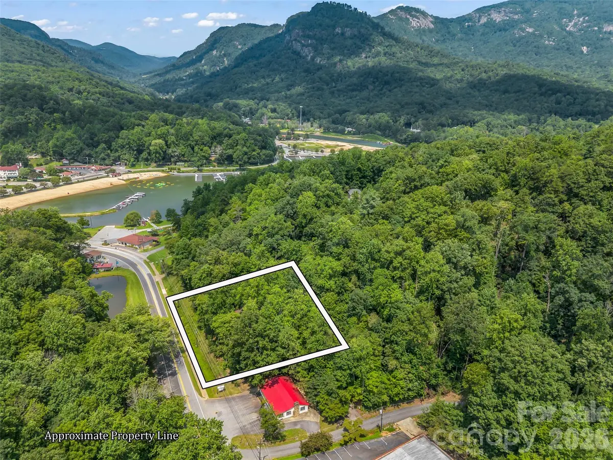 286 Harris Road, Lake Lure, NC 28746 - #1