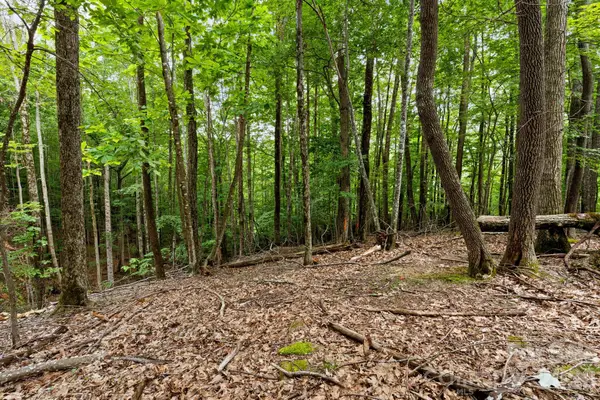 203 Sourwood Lane #186, Beech Mountain, NC 28604