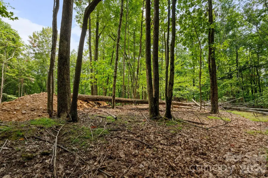 203 Sourwood Lane #186, Beech Mountain, NC 28604 - #2