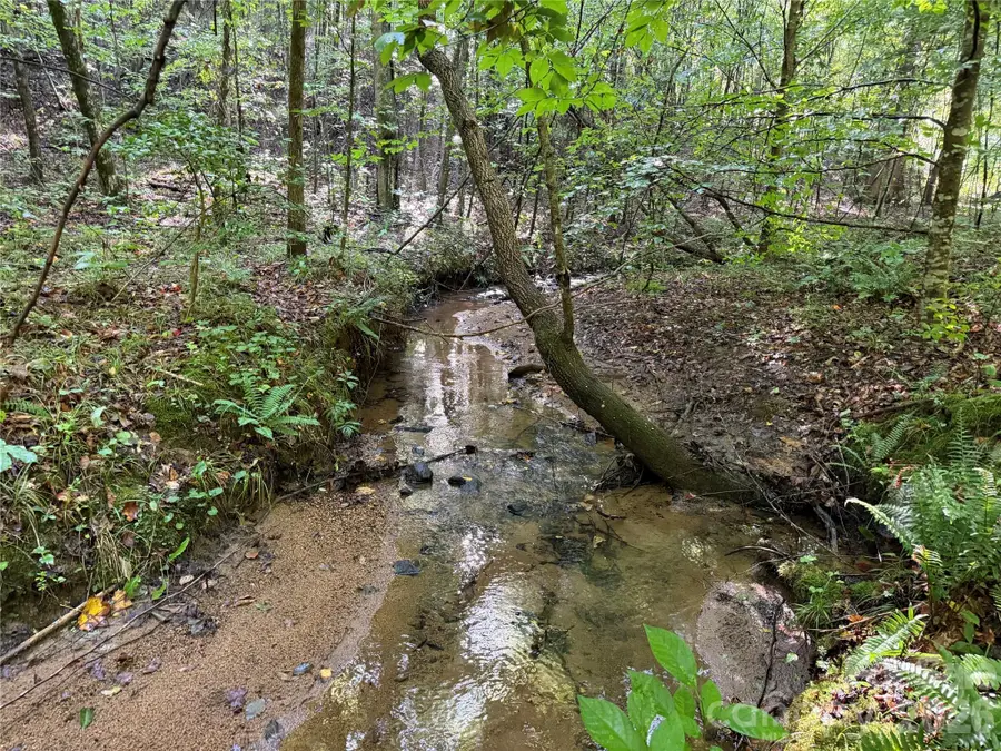 00 226 Highway S, Union Mills, NC 28167 - #3