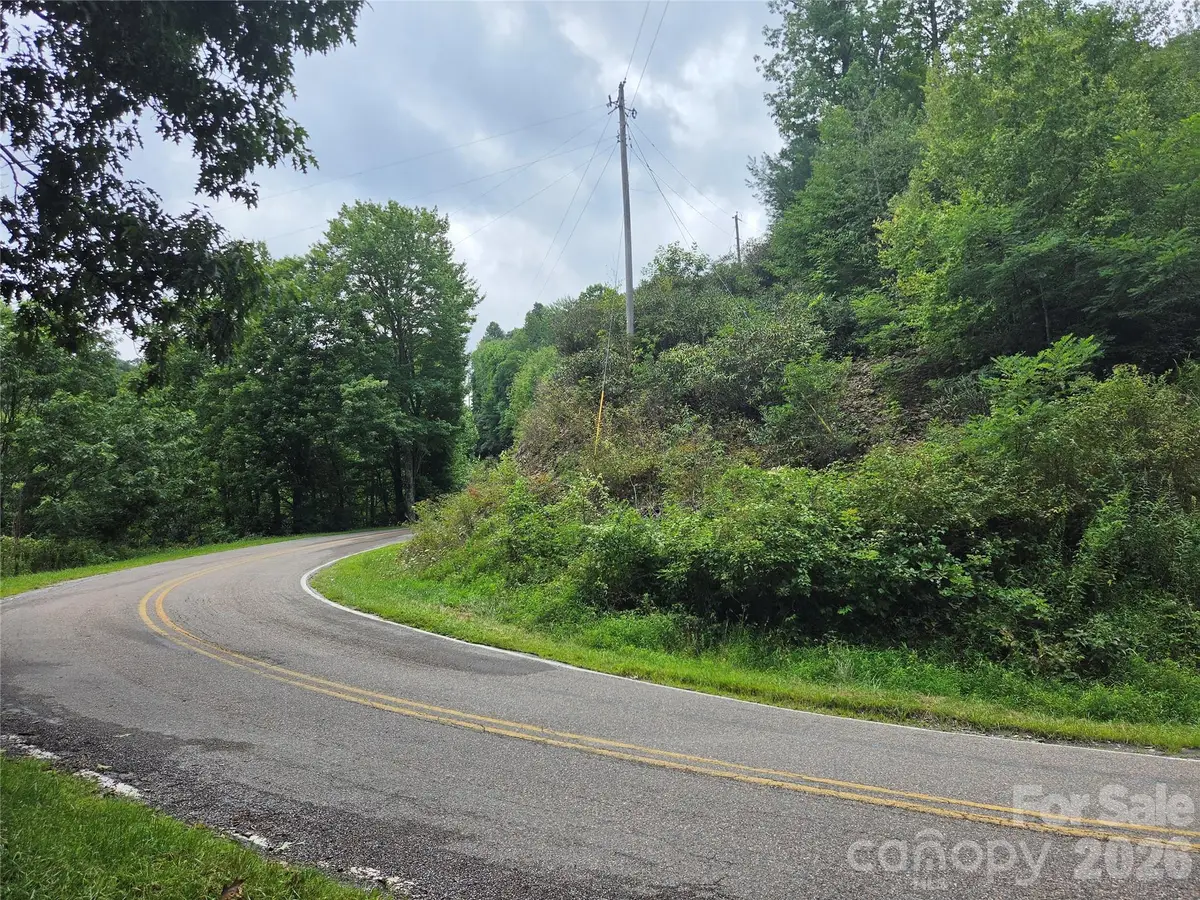 701 Pigeon Roost Road, Banner Elk, NC 28604 - #1