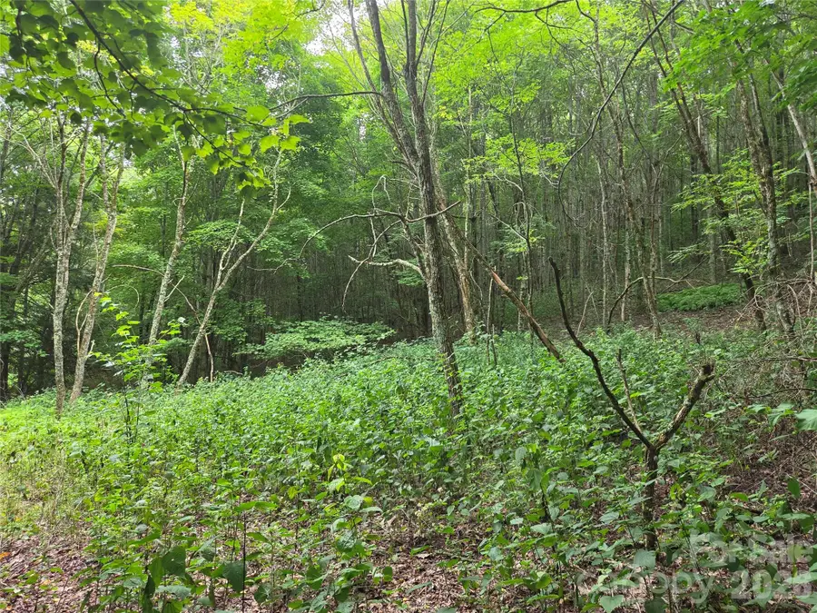 701 Pigeon Roost Road, Banner Elk, NC 28604 - #3