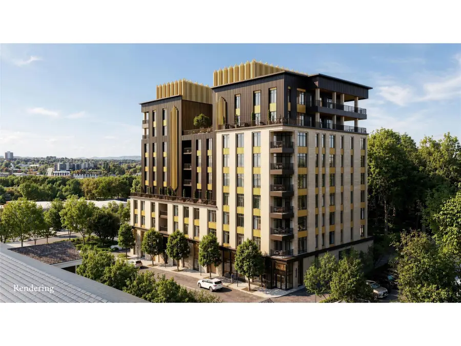 161 Church Street #305, Asheville, NC 28801 - #3