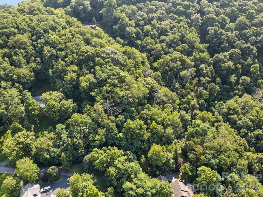 Lot #69 Twisted Trail #69, Waynesville, NC 28786 - #2