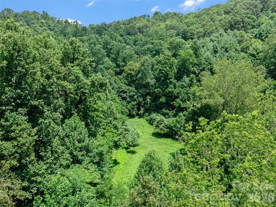 1377 Langford Branch Road, Burnsville, NC 28714 - #3