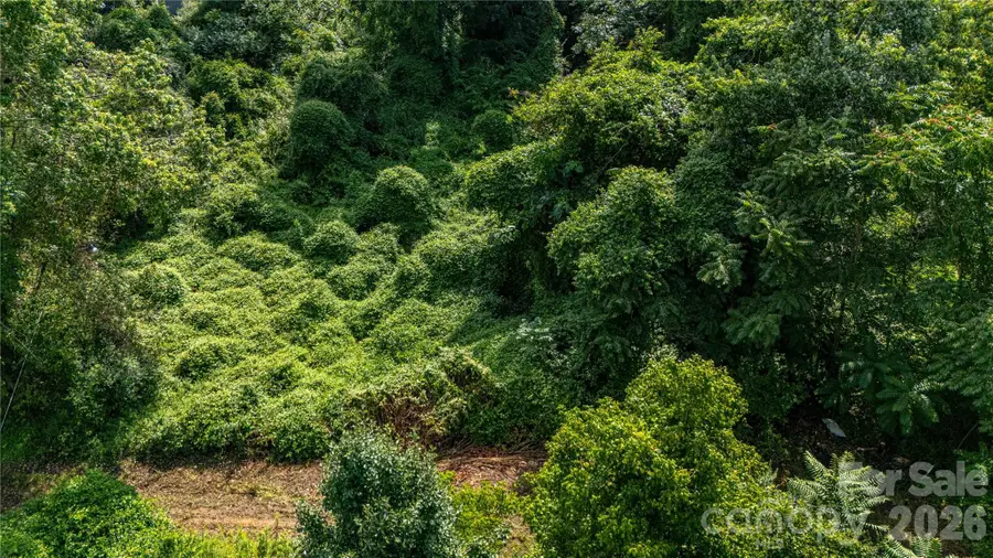 133 Brickyard Road, Asheville, NC 28806 - #3