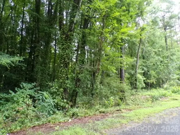 0 Larch Road #28, Salisbury, NC 28147