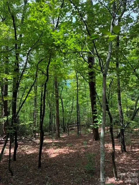 LOT 32 Justice Drive #32, Lake Lure, NC 28746 - #2